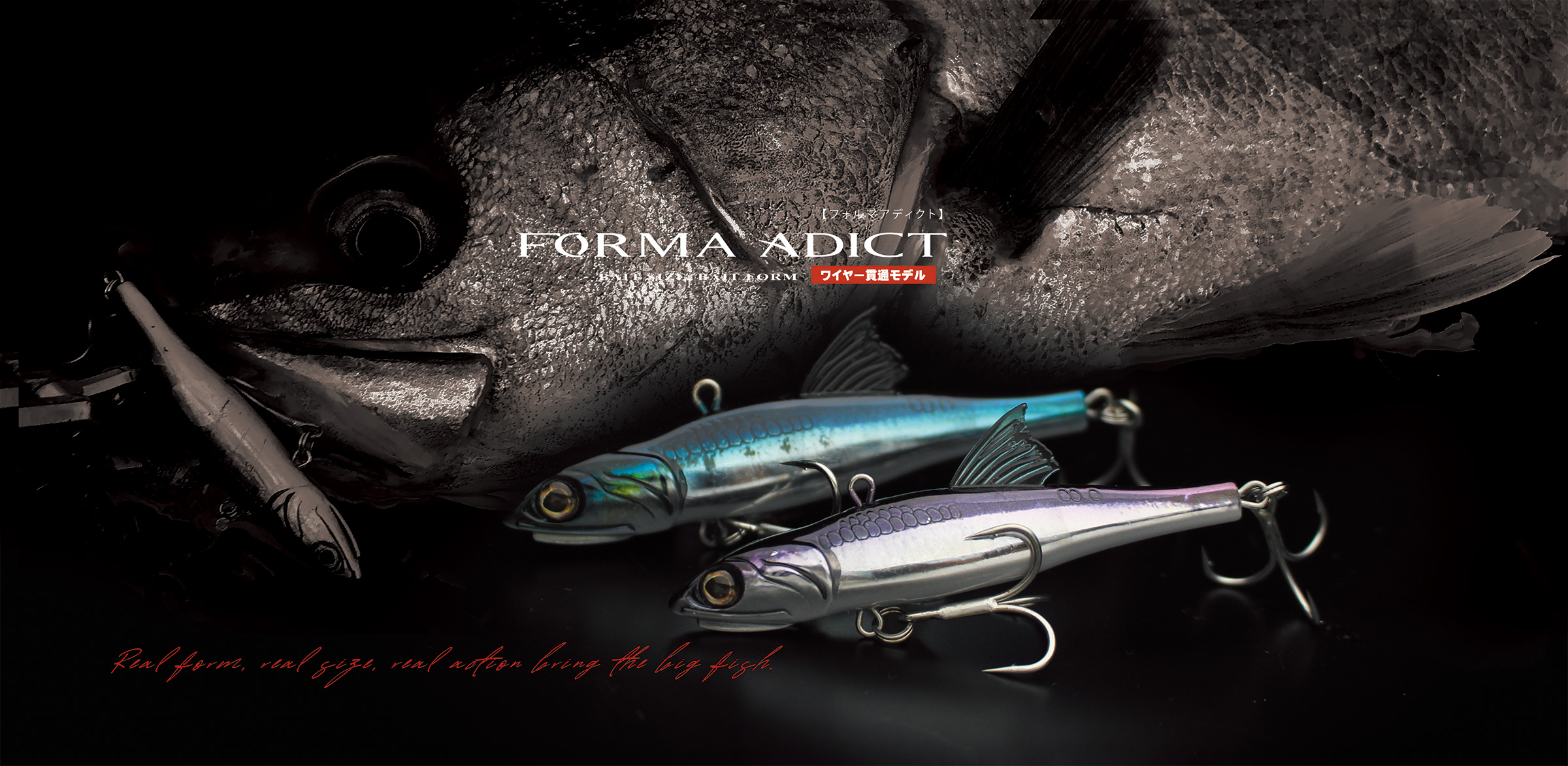 Little Jack Forma Adict – Isofishinglifestyle